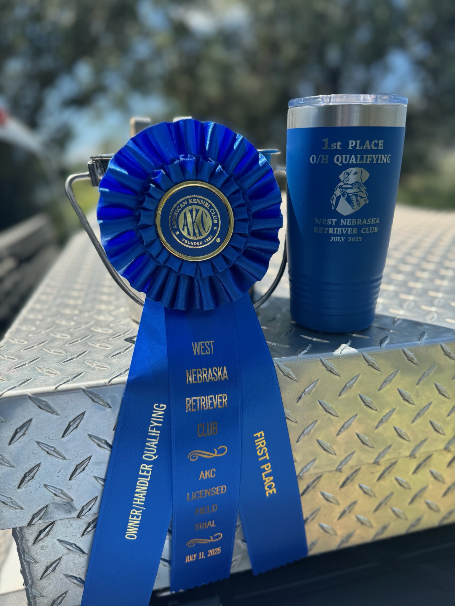 waggs-ribbon